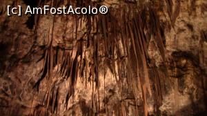 [P11] Padure de stalactite.  » foto by ovidiuyepi
 - 
<span class="allrVoted glyphicon glyphicon-heart hidden" id="av1156138"></span>
<a class="m-l-10 hidden" id="sv1156138" onclick="voting_Foto_DelVot(,1156138,1382)" role="button">șterge vot <span class="glyphicon glyphicon-remove"></span></a>
<a id="v91156138" class=" c-red"  onclick="voting_Foto_SetVot(1156138)" role="button"><span class="glyphicon glyphicon-heart-empty"></span> <b>LIKE</b> = Votează poza</a> <img class="hidden"  id="f1156138W9" src="/imagini/loader.gif" border="0" /><span class="AjErrMes hidden" id="e1156138ErM"></span>