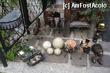[P07]  -- <small>// FĂRĂ DESCRIERE</small> » foto by chrismo
 - 
<span class="allrVoted glyphicon glyphicon-heart hidden" id="av8703"></span>
<a class="m-l-10 hidden" id="sv8703" onclick="voting_Foto_DelVot(,8703,1383)" role="button">șterge vot <span class="glyphicon glyphicon-remove"></span></a>
<a id="v98703" class=" c-red"  onclick="voting_Foto_SetVot(8703)" role="button"><span class="glyphicon glyphicon-heart-empty"></span> <b>LIKE</b> = Votează poza</a> <img class="hidden"  id="f8703W9" src="/imagini/loader.gif" border="0" /><span class="AjErrMes hidden" id="e8703ErM"></span>
