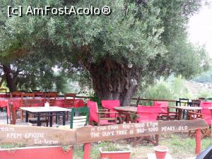 [P09] Parthenonas, un sătuc d emunte -la aprox 350m d ela nivelul mării, am urcat pe serpentine pâna acolo. restaurat prin fonduri Europene » foto by ela r
 - 
<span class="allrVoted glyphicon glyphicon-heart hidden" id="av815091"></span>
<a class="m-l-10 hidden" id="sv815091" onclick="voting_Foto_DelVot(,815091,1423)" role="button">șterge vot <span class="glyphicon glyphicon-remove"></span></a>
<a id="v9815091" class=" c-red"  onclick="voting_Foto_SetVot(815091)" role="button"><span class="glyphicon glyphicon-heart-empty"></span> <b>LIKE</b> = Votează poza</a> <img class="hidden"  id="f815091W9" src="/imagini/loader.gif" border="0" /><span class="AjErrMes hidden" id="e815091ErM"></span>