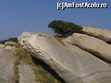 [P14] 'Fie piatra cât de grea, asta este viaţa mea', pare să spună acel brusture. » foto by Aqvila
 - 
<span class="allrVoted glyphicon glyphicon-heart hidden" id="av305910"></span>
<a class="m-l-10 hidden" id="sv305910" onclick="voting_Foto_DelVot(,305910,1423)" role="button">șterge vot <span class="glyphicon glyphicon-remove"></span></a>
<a id="v9305910" class=" c-red"  onclick="voting_Foto_SetVot(305910)" role="button"><span class="glyphicon glyphicon-heart-empty"></span> <b>LIKE</b> = Votează poza</a> <img class="hidden"  id="f305910W9" src="/imagini/loader.gif" border="0" /><span class="AjErrMes hidden" id="e305910ErM"></span>