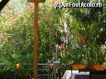 [P21] Flori, foarte multe flori la taverna din Karidi. » foto by Aqvila
 - 
<span class="allrVoted glyphicon glyphicon-heart hidden" id="av305917"></span>
<a class="m-l-10 hidden" id="sv305917" onclick="voting_Foto_DelVot(,305917,1423)" role="button">șterge vot <span class="glyphicon glyphicon-remove"></span></a>
<a id="v9305917" class=" c-red"  onclick="voting_Foto_SetVot(305917)" role="button"><span class="glyphicon glyphicon-heart-empty"></span> <b>LIKE</b> = Votează poza</a> <img class="hidden"  id="f305917W9" src="/imagini/loader.gif" border="0" /><span class="AjErrMes hidden" id="e305917ErM"></span>