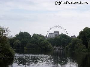 [P05] London Eye, vazuta din Parcul St James (aflat langa Buckingham Palace)  » foto by ChocoGun
 - 
<span class="allrVoted glyphicon glyphicon-heart hidden" id="av621497"></span>
<a class="m-l-10 hidden" id="sv621497" onclick="voting_Foto_DelVot(,621497,1570)" role="button">șterge vot <span class="glyphicon glyphicon-remove"></span></a>
<a id="v9621497" class=" c-red"  onclick="voting_Foto_SetVot(621497)" role="button"><span class="glyphicon glyphicon-heart-empty"></span> <b>LIKE</b> = Votează poza</a> <img class="hidden"  id="f621497W9" src="/imagini/loader.gif" border="0" /><span class="AjErrMes hidden" id="e621497ErM"></span>
