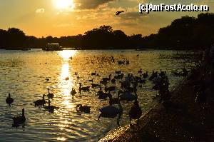 [P10] Pasari la apus in Hyde Park » foto by alb1573
 - 
<span class="allrVoted glyphicon glyphicon-heart hidden" id="av670000"></span>
<a class="m-l-10 hidden" id="sv670000" onclick="voting_Foto_DelVot(,670000,1570)" role="button">șterge vot <span class="glyphicon glyphicon-remove"></span></a>
<a id="v9670000" class=" c-red"  onclick="voting_Foto_SetVot(670000)" role="button"><span class="glyphicon glyphicon-heart-empty"></span> <b>LIKE</b> = Votează poza</a> <img class="hidden"  id="f670000W9" src="/imagini/loader.gif" border="0" /><span class="AjErrMes hidden" id="e670000ErM"></span>