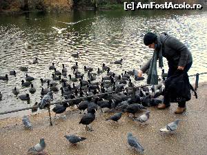 [P25] St James's Park » foto by Rusalka
 - 
<span class="allrVoted glyphicon glyphicon-heart hidden" id="av546871"></span>
<a class="m-l-10 hidden" id="sv546871" onclick="voting_Foto_DelVot(,546871,1570)" role="button">șterge vot <span class="glyphicon glyphicon-remove"></span></a>
<a id="v9546871" class=" c-red"  onclick="voting_Foto_SetVot(546871)" role="button"><span class="glyphicon glyphicon-heart-empty"></span> <b>LIKE</b> = Votează poza</a> <img class="hidden"  id="f546871W9" src="/imagini/loader.gif" border="0" /><span class="AjErrMes hidden" id="e546871ErM"></span>