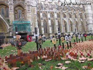 [P10] Poppy la Westminster Abbey » foto by sophie_p*
 - 
<span class="allrVoted glyphicon glyphicon-heart hidden" id="av584512"></span>
<a class="m-l-10 hidden" id="sv584512" onclick="voting_Foto_DelVot(,584512,1570)" role="button">șterge vot <span class="glyphicon glyphicon-remove"></span></a>
<a id="v9584512" class=" c-red"  onclick="voting_Foto_SetVot(584512)" role="button"><span class="glyphicon glyphicon-heart-empty"></span> <b>LIKE</b> = Votează poza</a> <img class="hidden"  id="f584512W9" src="/imagini/loader.gif" border="0" /><span class="AjErrMes hidden" id="e584512ErM"></span>