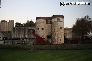 [P23] Poppy la Tower of London.  » foto by sophie_p*
 - 
<span class="allrVoted glyphicon glyphicon-heart hidden" id="av584525"></span>
<a class="m-l-10 hidden" id="sv584525" onclick="voting_Foto_DelVot(,584525,1570)" role="button">șterge vot <span class="glyphicon glyphicon-remove"></span></a>
<a id="v9584525" class=" c-red"  onclick="voting_Foto_SetVot(584525)" role="button"><span class="glyphicon glyphicon-heart-empty"></span> <b>LIKE</b> = Votează poza</a> <img class="hidden"  id="f584525W9" src="/imagini/loader.gif" border="0" /><span class="AjErrMes hidden" id="e584525ErM"></span>