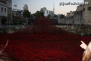 [P25] Poppy la Tower of London. Din nou planul secund strică tot.  » foto by sophie_p*
 - 
<span class="allrVoted glyphicon glyphicon-heart hidden" id="av584527"></span>
<a class="m-l-10 hidden" id="sv584527" onclick="voting_Foto_DelVot(,584527,1570)" role="button">șterge vot <span class="glyphicon glyphicon-remove"></span></a>
<a id="v9584527" class=" c-red"  onclick="voting_Foto_SetVot(584527)" role="button"><span class="glyphicon glyphicon-heart-empty"></span> <b>LIKE</b> = Votează poza</a> <img class="hidden"  id="f584527W9" src="/imagini/loader.gif" border="0" /><span class="AjErrMes hidden" id="e584527ErM"></span>