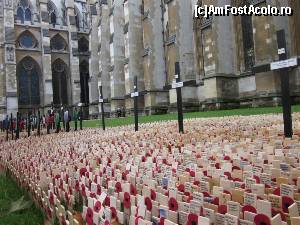 [P07] Poppy la Westminster Abbey.  » foto by sophie_p*
 - 
<span class="allrVoted glyphicon glyphicon-heart hidden" id="av584509"></span>
<a class="m-l-10 hidden" id="sv584509" onclick="voting_Foto_DelVot(,584509,1570)" role="button">șterge vot <span class="glyphicon glyphicon-remove"></span></a>
<a id="v9584509" class=" c-red"  onclick="voting_Foto_SetVot(584509)" role="button"><span class="glyphicon glyphicon-heart-empty"></span> <b>LIKE</b> = Votează poza</a> <img class="hidden"  id="f584509W9" src="/imagini/loader.gif" border="0" /><span class="AjErrMes hidden" id="e584509ErM"></span>
