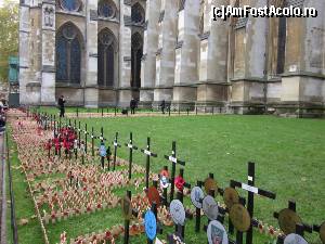 [P08] Poppy la Westminster Abbey » foto by sophie_p*
 - 
<span class="allrVoted glyphicon glyphicon-heart hidden" id="av584510"></span>
<a class="m-l-10 hidden" id="sv584510" onclick="voting_Foto_DelVot(,584510,1570)" role="button">șterge vot <span class="glyphicon glyphicon-remove"></span></a>
<a id="v9584510" class=" c-red"  onclick="voting_Foto_SetVot(584510)" role="button"><span class="glyphicon glyphicon-heart-empty"></span> <b>LIKE</b> = Votează poza</a> <img class="hidden"  id="f584510W9" src="/imagini/loader.gif" border="0" /><span class="AjErrMes hidden" id="e584510ErM"></span>