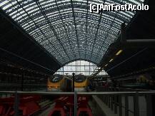 [P02] Eurostarul » foto by artistul_18
 - 
<span class="allrVoted glyphicon glyphicon-heart hidden" id="av153722"></span>
<a class="m-l-10 hidden" id="sv153722" onclick="voting_Foto_DelVot(,153722,1570)" role="button">șterge vot <span class="glyphicon glyphicon-remove"></span></a>
<a id="v9153722" class=" c-red"  onclick="voting_Foto_SetVot(153722)" role="button"><span class="glyphicon glyphicon-heart-empty"></span> <b>LIKE</b> = Votează poza</a> <img class="hidden"  id="f153722W9" src="/imagini/loader.gif" border="0" /><span class="AjErrMes hidden" id="e153722ErM"></span>
