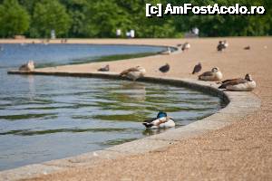 [P10] kensington gardens » foto by dranal
 - 
<span class="allrVoted glyphicon glyphicon-heart hidden" id="av634283"></span>
<a class="m-l-10 hidden" id="sv634283" onclick="voting_Foto_DelVot(,634283,1570)" role="button">șterge vot <span class="glyphicon glyphicon-remove"></span></a>
<a id="v9634283" class=" c-red"  onclick="voting_Foto_SetVot(634283)" role="button"><span class="glyphicon glyphicon-heart-empty"></span> <b>LIKE</b> = Votează poza</a> <img class="hidden"  id="f634283W9" src="/imagini/loader.gif" border="0" /><span class="AjErrMes hidden" id="e634283ErM"></span>