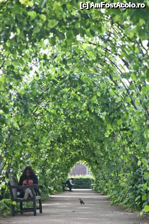 [P12] kensington gardens » foto by dranal
 - 
<span class="allrVoted glyphicon glyphicon-heart hidden" id="av634285"></span>
<a class="m-l-10 hidden" id="sv634285" onclick="voting_Foto_DelVot(,634285,1570)" role="button">șterge vot <span class="glyphicon glyphicon-remove"></span></a>
<a id="v9634285" class=" c-red"  onclick="voting_Foto_SetVot(634285)" role="button"><span class="glyphicon glyphicon-heart-empty"></span> <b>LIKE</b> = Votează poza</a> <img class="hidden"  id="f634285W9" src="/imagini/loader.gif" border="0" /><span class="AjErrMes hidden" id="e634285ErM"></span>