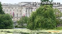 [P10] palatul buckingham vazut din Green park » foto by simon_niculae
 - 
<span class="allrVoted glyphicon glyphicon-heart hidden" id="av447707"></span>
<a class="m-l-10 hidden" id="sv447707" onclick="voting_Foto_DelVot(,447707,1570)" role="button">șterge vot <span class="glyphicon glyphicon-remove"></span></a>
<a id="v9447707" class=" c-red"  onclick="voting_Foto_SetVot(447707)" role="button"><span class="glyphicon glyphicon-heart-empty"></span> <b>LIKE</b> = Votează poza</a> <img class="hidden"  id="f447707W9" src="/imagini/loader.gif" border="0" /><span class="AjErrMes hidden" id="e447707ErM"></span>