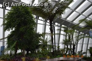 [P39] Sky Gardens » foto by Pușcașu Marin
 - 
<span class="allrVoted glyphicon glyphicon-heart hidden" id="av976524"></span>
<a class="m-l-10 hidden" id="sv976524" onclick="voting_Foto_DelVot(,976524,1570)" role="button">șterge vot <span class="glyphicon glyphicon-remove"></span></a>
<a id="v9976524" class=" c-red"  onclick="voting_Foto_SetVot(976524)" role="button"><span class="glyphicon glyphicon-heart-empty"></span> <b>LIKE</b> = Votează poza</a> <img class="hidden"  id="f976524W9" src="/imagini/loader.gif" border="0" /><span class="AjErrMes hidden" id="e976524ErM"></span>
