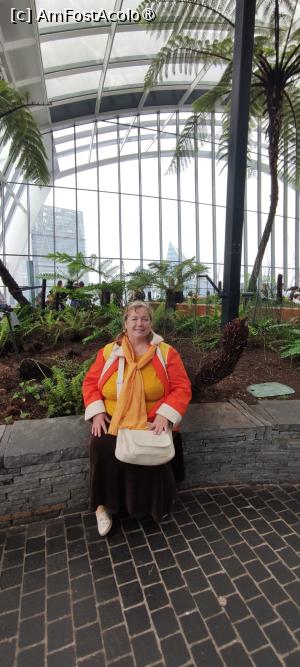 [P43] pauza Sky Garden » foto by mihaelab
 - 
<span class="allrVoted glyphicon glyphicon-heart hidden" id="av1522742"></span>
<a class="m-l-10 hidden" id="sv1522742" onclick="voting_Foto_DelVot(,1522742,1570)" role="button">șterge vot <span class="glyphicon glyphicon-remove"></span></a>
<a id="v91522742" class=" c-red"  onclick="voting_Foto_SetVot(1522742)" role="button"><span class="glyphicon glyphicon-heart-empty"></span> <b>LIKE</b> = Votează poza</a> <img class="hidden"  id="f1522742W9" src="/imagini/loader.gif" border="0" /><span class="AjErrMes hidden" id="e1522742ErM"></span>