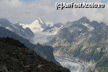 [P01] eggishorn » foto by mariana
 - 
<span class="allrVoted glyphicon glyphicon-heart hidden" id="av19767"></span>
<a class="m-l-10 hidden" id="sv19767" onclick="voting_Foto_DelVot(,19767,1571)" role="button">șterge vot <span class="glyphicon glyphicon-remove"></span></a>
<a id="v919767" class=" c-red"  onclick="voting_Foto_SetVot(19767)" role="button"><span class="glyphicon glyphicon-heart-empty"></span> <b>LIKE</b> = Votează poza</a> <img class="hidden"  id="f19767W9" src="/imagini/loader.gif" border="0" /><span class="AjErrMes hidden" id="e19767ErM"></span>