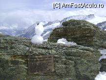 [P5x]  -- <small>// FĂRĂ DESCRIERE</small> » foto by Ana Maria
 - 
<span class="allrVoted glyphicon glyphicon-heart hidden" id="av12517"></span>
<a class="m-l-10 hidden" id="sv12517" onclick="voting_Foto_DelVot(,12517,1571)" role="button">șterge vot <span class="glyphicon glyphicon-remove"></span></a>
<a id="v912517" class=" c-red"  onclick="voting_Foto_SetVot(12517)" role="button"><span class="glyphicon glyphicon-heart-empty"></span> <b>LIKE</b> = Votează poza</a> <img class="hidden"  id="f12517W9" src="/imagini/loader.gif" border="0" /><span class="AjErrMes hidden" id="e12517ErM"></span>