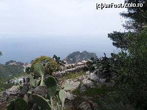 [P06] vegetatia luxurianta a Taorminei » foto by amero
 - 
<span class="allrVoted glyphicon glyphicon-heart hidden" id="av670644"></span>
<a class="m-l-10 hidden" id="sv670644" onclick="voting_Foto_DelVot(,670644,1579)" role="button">șterge vot <span class="glyphicon glyphicon-remove"></span></a>
<a id="v9670644" class=" c-red"  onclick="voting_Foto_SetVot(670644)" role="button"><span class="glyphicon glyphicon-heart-empty"></span> <b>LIKE</b> = Votează poza</a> <img class="hidden"  id="f670644W9" src="/imagini/loader.gif" border="0" /><span class="AjErrMes hidden" id="e670644ErM"></span>