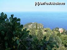 [P12] Cactusi, un crampei din Isola Bella si albastra mare » foto by le_maitre
 - 
<span class="allrVoted glyphicon glyphicon-heart hidden" id="av307852"></span>
<a class="m-l-10 hidden" id="sv307852" onclick="voting_Foto_DelVot(,307852,1579)" role="button">șterge vot <span class="glyphicon glyphicon-remove"></span></a>
<a id="v9307852" class=" c-red"  onclick="voting_Foto_SetVot(307852)" role="button"><span class="glyphicon glyphicon-heart-empty"></span> <b>LIKE</b> = Votează poza</a> <img class="hidden"  id="f307852W9" src="/imagini/loader.gif" border="0" /><span class="AjErrMes hidden" id="e307852ErM"></span>