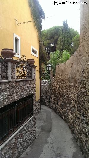 [P07] Stradute in Taormina » foto by Artana
 - 
<span class="allrVoted glyphicon glyphicon-heart hidden" id="av566421"></span>
<a class="m-l-10 hidden" id="sv566421" onclick="voting_Foto_DelVot(,566421,1579)" role="button">șterge vot <span class="glyphicon glyphicon-remove"></span></a>
<a id="v9566421" class=" c-red"  onclick="voting_Foto_SetVot(566421)" role="button"><span class="glyphicon glyphicon-heart-empty"></span> <b>LIKE</b> = Votează poza</a> <img class="hidden"  id="f566421W9" src="/imagini/loader.gif" border="0" /><span class="AjErrMes hidden" id="e566421ErM"></span>