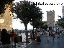 [P7x] piata in Taormina » foto by buburuzica
 - 
<span class="allrVoted glyphicon glyphicon-heart hidden" id="av5114"></span>
<a class="m-l-10 hidden" id="sv5114" onclick="voting_Foto_DelVot(,5114,1579)" role="button">șterge vot <span class="glyphicon glyphicon-remove"></span></a>
<a id="v95114" class=" c-red"  onclick="voting_Foto_SetVot(5114)" role="button"><span class="glyphicon glyphicon-heart-empty"></span> <b>LIKE</b> = Votează poza</a> <img class="hidden"  id="f5114W9" src="/imagini/loader.gif" border="0" /><span class="AjErrMes hidden" id="e5114ErM"></span>