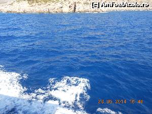 [P22] Marea, incredibil de albastră.  » foto by Rodel
 - 
<span class="allrVoted glyphicon glyphicon-heart hidden" id="av537945"></span>
<a class="m-l-10 hidden" id="sv537945" onclick="voting_Foto_DelVot(,537945,1588)" role="button">șterge vot <span class="glyphicon glyphicon-remove"></span></a>
<a id="v9537945" class=" c-red"  onclick="voting_Foto_SetVot(537945)" role="button"><span class="glyphicon glyphicon-heart-empty"></span> <b>LIKE</b> = Votează poza</a> <img class="hidden"  id="f537945W9" src="/imagini/loader.gif" border="0" /><span class="AjErrMes hidden" id="e537945ErM"></span>