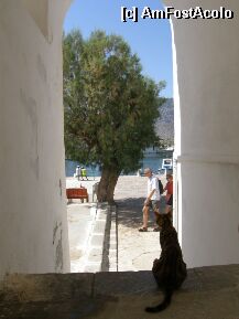 [P11x] Symi, octombrie 2008 » foto by andreid*
 - 
<span class="allrVoted glyphicon glyphicon-heart hidden" id="av5139"></span>
<a class="m-l-10 hidden" id="sv5139" onclick="voting_Foto_DelVot(,5139,1588)" role="button">șterge vot <span class="glyphicon glyphicon-remove"></span></a>
<a id="v95139" class=" c-red"  onclick="voting_Foto_SetVot(5139)" role="button"><span class="glyphicon glyphicon-heart-empty"></span> <b>LIKE</b> = Votează poza</a> <img class="hidden"  id="f5139W9" src="/imagini/loader.gif" border="0" /><span class="AjErrMes hidden" id="e5139ErM"></span>