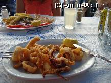 [P17] Fructe de mare servite la o taverna in Symi » foto by corinne
 - 
<span class="allrVoted glyphicon glyphicon-heart hidden" id="av111165"></span>
<a class="m-l-10 hidden" id="sv111165" onclick="voting_Foto_DelVot(,111165,1588)" role="button">șterge vot <span class="glyphicon glyphicon-remove"></span></a>
<a id="v9111165" class=" c-red"  onclick="voting_Foto_SetVot(111165)" role="button"><span class="glyphicon glyphicon-heart-empty"></span> <b>LIKE</b> = Votează poza</a> <img class="hidden"  id="f111165W9" src="/imagini/loader.gif" border="0" /><span class="AjErrMes hidden" id="e111165ErM"></span>