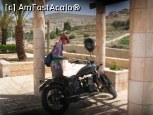 [P07] Spre surprinderea mea am vazut femei pe motocicletà, ceea ce pentru o tara araba frizeaza realitatea » foto by similia
 - 
<span class="allrVoted glyphicon glyphicon-heart hidden" id="av742708"></span>
<a class="m-l-10 hidden" id="sv742708" onclick="voting_Foto_DelVot(,742708,1591)" role="button">șterge vot <span class="glyphicon glyphicon-remove"></span></a>
<a id="v9742708" class=" c-red"  onclick="voting_Foto_SetVot(742708)" role="button"><span class="glyphicon glyphicon-heart-empty"></span> <b>LIKE</b> = Votează poza</a> <img class="hidden"  id="f742708W9" src="/imagini/loader.gif" border="0" /><span class="AjErrMes hidden" id="e742708ErM"></span>