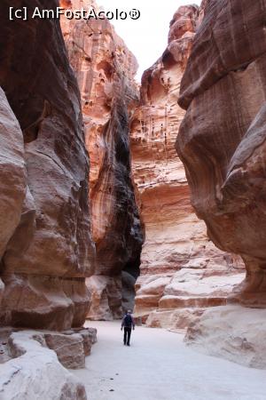[P27] Petra, Al Siq, Calea principală de acces în vechea capitală nabateeană, dimineața devreme neinvadat de turiști...  » foto by mprofeanu
 - 
<span class="allrVoted glyphicon glyphicon-heart hidden" id="av920358"></span>
<a class="m-l-10 hidden" id="sv920358" onclick="voting_Foto_DelVot(,920358,1591)" role="button">șterge vot <span class="glyphicon glyphicon-remove"></span></a>
<a id="v9920358" class=" c-red"  onclick="voting_Foto_SetVot(920358)" role="button"><span class="glyphicon glyphicon-heart-empty"></span> <b>LIKE</b> = Votează poza</a> <img class="hidden"  id="f920358W9" src="/imagini/loader.gif" border="0" /><span class="AjErrMes hidden" id="e920358ErM"></span>