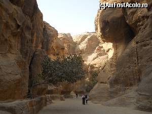 [P20] Defileul (Siq) intrarea in Petra » foto by MoniQ69
 - 
<span class="allrVoted glyphicon glyphicon-heart hidden" id="av670859"></span>
<a class="m-l-10 hidden" id="sv670859" onclick="voting_Foto_DelVot(,670859,1591)" role="button">șterge vot <span class="glyphicon glyphicon-remove"></span></a>
<a id="v9670859" class=" c-red"  onclick="voting_Foto_SetVot(670859)" role="button"><span class="glyphicon glyphicon-heart-empty"></span> <b>LIKE</b> = Votează poza</a> <img class="hidden"  id="f670859W9" src="/imagini/loader.gif" border="0" /><span class="AjErrMes hidden" id="e670859ErM"></span>