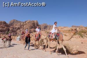 [P14] Petra - turisti americani pe camile » foto by nickro
 - 
<span class="allrVoted glyphicon glyphicon-heart hidden" id="av1156623"></span>
<a class="m-l-10 hidden" id="sv1156623" onclick="voting_Foto_DelVot(,1156623,1591)" role="button">șterge vot <span class="glyphicon glyphicon-remove"></span></a>
<a id="v91156623" class=" c-red"  onclick="voting_Foto_SetVot(1156623)" role="button"><span class="glyphicon glyphicon-heart-empty"></span> <b>LIKE</b> = Votează poza</a> <img class="hidden"  id="f1156623W9" src="/imagini/loader.gif" border="0" /><span class="AjErrMes hidden" id="e1156623ErM"></span>