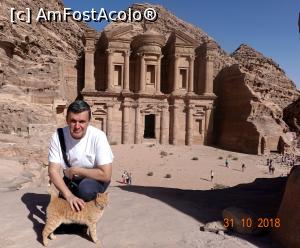 [P18] Petra - Manastirea. Pisica locala amabila. Toata lumea traieste din turism...  » foto by nickro
 - 
<span class="allrVoted glyphicon glyphicon-heart hidden" id="av1156632"></span>
<a class="m-l-10 hidden" id="sv1156632" onclick="voting_Foto_DelVot(,1156632,1591)" role="button">șterge vot <span class="glyphicon glyphicon-remove"></span></a>
<a id="v91156632" class=" c-red"  onclick="voting_Foto_SetVot(1156632)" role="button"><span class="glyphicon glyphicon-heart-empty"></span> <b>LIKE</b> = Votează poza</a> <img class="hidden"  id="f1156632W9" src="/imagini/loader.gif" border="0" /><span class="AjErrMes hidden" id="e1156632ErM"></span>