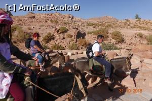 [P25] Petra - cavalcada magareasca » foto by nickro
 - 
<span class="allrVoted glyphicon glyphicon-heart hidden" id="av1156646"></span>
<a class="m-l-10 hidden" id="sv1156646" onclick="voting_Foto_DelVot(,1156646,1591)" role="button">șterge vot <span class="glyphicon glyphicon-remove"></span></a>
<a id="v91156646" class=" c-red"  onclick="voting_Foto_SetVot(1156646)" role="button"><span class="glyphicon glyphicon-heart-empty"></span> <b>LIKE</b> = Votează poza</a> <img class="hidden"  id="f1156646W9" src="/imagini/loader.gif" border="0" /><span class="AjErrMes hidden" id="e1156646ErM"></span>