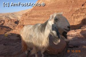 [P28]  -- <small>// FĂRĂ DESCRIERE</small> » foto by nickro
 - 
<span class="allrVoted glyphicon glyphicon-heart hidden" id="av1156650"></span>
<a class="m-l-10 hidden" id="sv1156650" onclick="voting_Foto_DelVot(,1156650,1591)" role="button">șterge vot <span class="glyphicon glyphicon-remove"></span></a>
<a id="v91156650" class=" c-red"  onclick="voting_Foto_SetVot(1156650)" role="button"><span class="glyphicon glyphicon-heart-empty"></span> <b>LIKE</b> = Votează poza</a> <img class="hidden"  id="f1156650W9" src="/imagini/loader.gif" border="0" /><span class="AjErrMes hidden" id="e1156650ErM"></span>