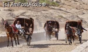 [P03] Petra - taxiuri cabaline » foto by nickro
 - 
<span class="allrVoted glyphicon glyphicon-heart hidden" id="av1156603"></span>
<a class="m-l-10 hidden" id="sv1156603" onclick="voting_Foto_DelVot(,1156603,1591)" role="button">șterge vot <span class="glyphicon glyphicon-remove"></span></a>
<a id="v91156603" class=" c-red"  onclick="voting_Foto_SetVot(1156603)" role="button"><span class="glyphicon glyphicon-heart-empty"></span> <b>LIKE</b> = Votează poza</a> <img class="hidden"  id="f1156603W9" src="/imagini/loader.gif" border="0" /><span class="AjErrMes hidden" id="e1156603ErM"></span>