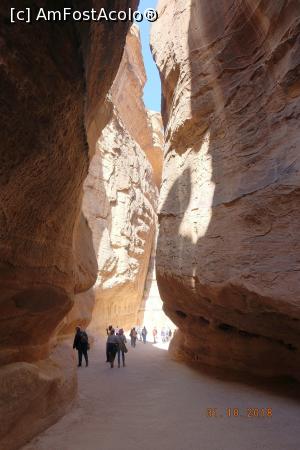 [P04] Petra - Siq - Canionul ingust ce duce la Trezorerie » foto by nickro
 - 
<span class="allrVoted glyphicon glyphicon-heart hidden" id="av1156604"></span>
<a class="m-l-10 hidden" id="sv1156604" onclick="voting_Foto_DelVot(,1156604,1591)" role="button">șterge vot <span class="glyphicon glyphicon-remove"></span></a>
<a id="v91156604" class=" c-red"  onclick="voting_Foto_SetVot(1156604)" role="button"><span class="glyphicon glyphicon-heart-empty"></span> <b>LIKE</b> = Votează poza</a> <img class="hidden"  id="f1156604W9" src="/imagini/loader.gif" border="0" /><span class="AjErrMes hidden" id="e1156604ErM"></span>