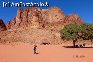[P40] Wadi Rum - izvorul lui Lawrence » foto by nickro
 - 
<span class="allrVoted glyphicon glyphicon-heart hidden" id="av1156674"></span>
<a class="m-l-10 hidden" id="sv1156674" onclick="voting_Foto_DelVot(,1156674,1591)" role="button">șterge vot <span class="glyphicon glyphicon-remove"></span></a>
<a id="v91156674" class=" c-red"  onclick="voting_Foto_SetVot(1156674)" role="button"><span class="glyphicon glyphicon-heart-empty"></span> <b>LIKE</b> = Votează poza</a> <img class="hidden"  id="f1156674W9" src="/imagini/loader.gif" border="0" /><span class="AjErrMes hidden" id="e1156674ErM"></span>