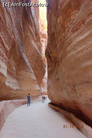 [P05] Petra - siq » foto by nickro
 - 
<span class="allrVoted glyphicon glyphicon-heart hidden" id="av1156606"></span>
<a class="m-l-10 hidden" id="sv1156606" onclick="voting_Foto_DelVot(,1156606,1591)" role="button">șterge vot <span class="glyphicon glyphicon-remove"></span></a>
<a id="v91156606" class=" c-red"  onclick="voting_Foto_SetVot(1156606)" role="button"><span class="glyphicon glyphicon-heart-empty"></span> <b>LIKE</b> = Votează poza</a> <img class="hidden"  id="f1156606W9" src="/imagini/loader.gif" border="0" /><span class="AjErrMes hidden" id="e1156606ErM"></span>