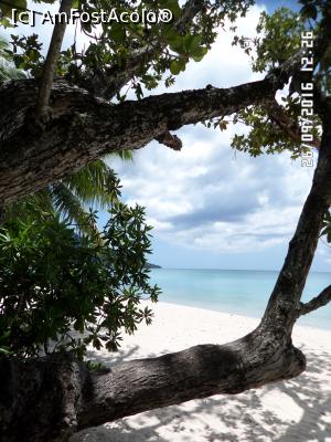 [P16] Tablou marin înrămat pe plaja Beau Vallon » foto by Alina53
 - 
<span class="allrVoted glyphicon glyphicon-heart hidden" id="av806637"></span>
<a class="m-l-10 hidden" id="sv806637" onclick="voting_Foto_DelVot(,806637,1613)" role="button">șterge vot <span class="glyphicon glyphicon-remove"></span></a>
<a id="v9806637" class=" c-red"  onclick="voting_Foto_SetVot(806637)" role="button"><span class="glyphicon glyphicon-heart-empty"></span> <b>LIKE</b> = Votează poza</a> <img class="hidden"  id="f806637W9" src="/imagini/loader.gif" border="0" /><span class="AjErrMes hidden" id="e806637ErM"></span>