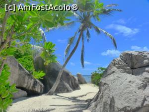 [P14] Anse Source d'Argent » foto by danadineata
 - 
<span class="allrVoted glyphicon glyphicon-heart hidden" id="av813461"></span>
<a class="m-l-10 hidden" id="sv813461" onclick="voting_Foto_DelVot(,813461,1613)" role="button">șterge vot <span class="glyphicon glyphicon-remove"></span></a>
<a id="v9813461" class=" c-red"  onclick="voting_Foto_SetVot(813461)" role="button"><span class="glyphicon glyphicon-heart-empty"></span> <b>LIKE</b> = Votează poza</a> <img class="hidden"  id="f813461W9" src="/imagini/loader.gif" border="0" /><span class="AjErrMes hidden" id="e813461ErM"></span>