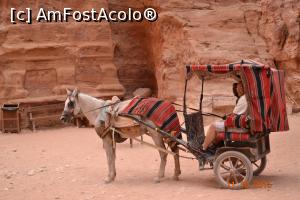 [P33] aceste trasuri ar trebui sa fie gratis pt turisti, prin el siq pana la trezorerie » foto by andreea72
 - 
<span class="allrVoted glyphicon glyphicon-heart hidden" id="av745558"></span>
<a class="m-l-10 hidden" id="sv745558" onclick="voting_Foto_DelVot(,745558,1615)" role="button">șterge vot <span class="glyphicon glyphicon-remove"></span></a>
<a id="v9745558" class=" c-red"  onclick="voting_Foto_SetVot(745558)" role="button"><span class="glyphicon glyphicon-heart-empty"></span> <b>LIKE</b> = Votează poza</a> <img class="hidden"  id="f745558W9" src="/imagini/loader.gif" border="0" /><span class="AjErrMes hidden" id="e745558ErM"></span>