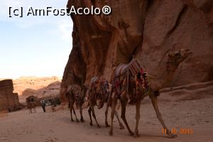 [P39] o caravana de camile, modul de transport nr 2 » foto by andreea72
 - 
<span class="allrVoted glyphicon glyphicon-heart hidden" id="av745564"></span>
<a class="m-l-10 hidden" id="sv745564" onclick="voting_Foto_DelVot(,745564,1615)" role="button">șterge vot <span class="glyphicon glyphicon-remove"></span></a>
<a id="v9745564" class=" c-red"  onclick="voting_Foto_SetVot(745564)" role="button"><span class="glyphicon glyphicon-heart-empty"></span> <b>LIKE</b> = Votează poza</a> <img class="hidden"  id="f745564W9" src="/imagini/loader.gif" border="0" /><span class="AjErrMes hidden" id="e745564ErM"></span>
