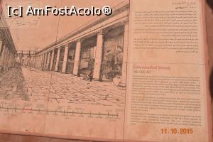 [P57] strada colonadelor, principala strada de cumparaturi din Petra, pe vremea nabateenilor » foto by andreea72
 - 
<span class="allrVoted glyphicon glyphicon-heart hidden" id="av745582"></span>
<a class="m-l-10 hidden" id="sv745582" onclick="voting_Foto_DelVot(,745582,1615)" role="button">șterge vot <span class="glyphicon glyphicon-remove"></span></a>
<a id="v9745582" class=" c-red"  onclick="voting_Foto_SetVot(745582)" role="button"><span class="glyphicon glyphicon-heart-empty"></span> <b>LIKE</b> = Votează poza</a> <img class="hidden"  id="f745582W9" src="/imagini/loader.gif" border="0" /><span class="AjErrMes hidden" id="e745582ErM"></span>