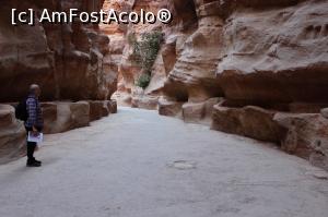 [P10] Petra, As-Siq flancat de canalele săpate în piatră prin care circula apa spre anticul oraș » foto by mprofeanu
 - 
<span class="allrVoted glyphicon glyphicon-heart hidden" id="av923727"></span>
<a class="m-l-10 hidden" id="sv923727" onclick="voting_Foto_DelVot(,923727,1615)" role="button">șterge vot <span class="glyphicon glyphicon-remove"></span></a>
<a id="v9923727" class=" c-red"  onclick="voting_Foto_SetVot(923727)" role="button"><span class="glyphicon glyphicon-heart-empty"></span> <b>LIKE</b> = Votează poza</a> <img class="hidden"  id="f923727W9" src="/imagini/loader.gif" border="0" /><span class="AjErrMes hidden" id="e923727ErM"></span>