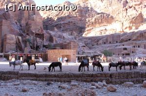 [P15] Petra, Piața de lângă strada Fațadelor, măgărușii așteaptă...  » foto by mprofeanu
 - 
<span class="allrVoted glyphicon glyphicon-heart hidden" id="av923732"></span>
<a class="m-l-10 hidden" id="sv923732" onclick="voting_Foto_DelVot(,923732,1615)" role="button">șterge vot <span class="glyphicon glyphicon-remove"></span></a>
<a id="v9923732" class=" c-red"  onclick="voting_Foto_SetVot(923732)" role="button"><span class="glyphicon glyphicon-heart-empty"></span> <b>LIKE</b> = Votează poza</a> <img class="hidden"  id="f923732W9" src="/imagini/loader.gif" border="0" /><span class="AjErrMes hidden" id="e923732ErM"></span>
