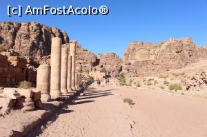 [P18] Petra, Strada Coloanelor (Cardo) de la nord la sud » foto by mprofeanu
 - 
<span class="allrVoted glyphicon glyphicon-heart hidden" id="av923735"></span>
<a class="m-l-10 hidden" id="sv923735" onclick="voting_Foto_DelVot(,923735,1615)" role="button">șterge vot <span class="glyphicon glyphicon-remove"></span></a>
<a id="v9923735" class=" c-red"  onclick="voting_Foto_SetVot(923735)" role="button"><span class="glyphicon glyphicon-heart-empty"></span> <b>LIKE</b> = Votează poza</a> <img class="hidden"  id="f923735W9" src="/imagini/loader.gif" border="0" /><span class="AjErrMes hidden" id="e923735ErM"></span>
