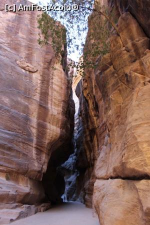 [P08] Petra, As-Siq, minune de defileu » foto by mprofeanu
 - 
<span class="allrVoted glyphicon glyphicon-heart hidden" id="av923725"></span>
<a class="m-l-10 hidden" id="sv923725" onclick="voting_Foto_DelVot(,923725,1615)" role="button">șterge vot <span class="glyphicon glyphicon-remove"></span></a>
<a id="v9923725" class=" c-red"  onclick="voting_Foto_SetVot(923725)" role="button"><span class="glyphicon glyphicon-heart-empty"></span> <b>LIKE</b> = Votează poza</a> <img class="hidden"  id="f923725W9" src="/imagini/loader.gif" border="0" /><span class="AjErrMes hidden" id="e923725ErM"></span>