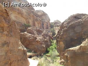 [P43] Wadi al-Farasa » foto by irinad
 - 
<span class="allrVoted glyphicon glyphicon-heart hidden" id="av1073996"></span>
<a class="m-l-10 hidden" id="sv1073996" onclick="voting_Foto_DelVot(,1073996,1615)" role="button">șterge vot <span class="glyphicon glyphicon-remove"></span></a>
<a id="v91073996" class=" c-red"  onclick="voting_Foto_SetVot(1073996)" role="button"><span class="glyphicon glyphicon-heart-empty"></span> <b>LIKE</b> = Votează poza</a> <img class="hidden"  id="f1073996W9" src="/imagini/loader.gif" border="0" /><span class="AjErrMes hidden" id="e1073996ErM"></span>