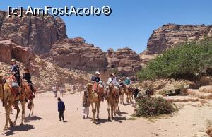 [P26] La inceputul strazii cu coloane, Fantana (The Nymphaeum), era o fantana publica semicirculara aflata la intersectia dintre Wadi Musa si Wadi Mataha. 6 coloane nabateene decorau fatada, iar apa provenea dintr-un rezervor de pe partea opusa a vaii. Acum este umbrita de un ienupar care are 450 de ani. » foto by geani anto
 - 
<span class="allrVoted glyphicon glyphicon-heart hidden" id="av1378013"></span>
<a class="m-l-10 hidden" id="sv1378013" onclick="voting_Foto_DelVot(,1378013,1615)" role="button">șterge vot <span class="glyphicon glyphicon-remove"></span></a>
<a id="v91378013" class=" c-red"  onclick="voting_Foto_SetVot(1378013)" role="button"><span class="glyphicon glyphicon-heart-empty"></span> <b>LIKE</b> = Votează poza</a> <img class="hidden"  id="f1378013W9" src="/imagini/loader.gif" border="0" /><span class="AjErrMes hidden" id="e1378013ErM"></span>